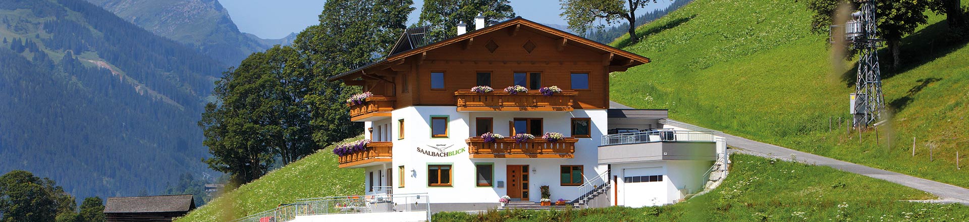 Saalbach Blick Appartements & Berggasthaus Bärnalm in Saalbach